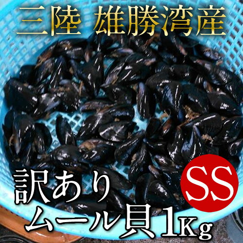生ムール貝 訳あり規格外SS 1kg 三陸宮城県 石巻産 漁師直送 活ムール貝（イガイ ムラサキ貝 カラス貝）［産直海鮮ギフト］