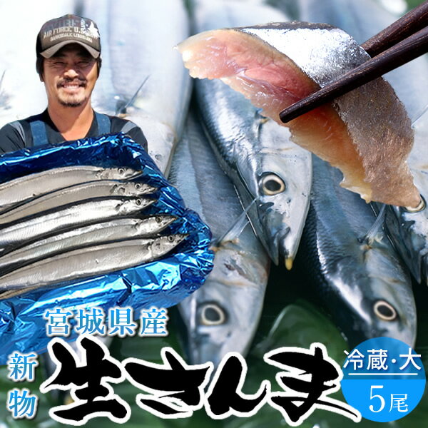 サンマ 新物 生さんま 刺身用 特大 5尾 大サイズ 鮮さんま 鮮サンマ 秋刀魚 お刺し身 国産 宮城県 三陸 直送 生 冷蔵 海水氷詰め 鮮度抜群 塩焼き 煮付け ひもの 食のふるさと トロさんま 産直 おススメ 期間限定 お取り寄せ【送料無料】[お歳暮 冬ギフト]