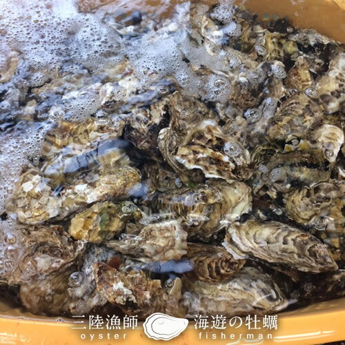 生牡蠣 殻付き 2kg 大 生食用宮城県産 漁師直送 格安生牡蠣お取り寄せ父の日ギフト プレゼント