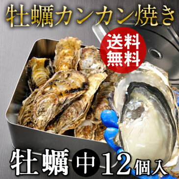 生牡蠣カンカン焼きセット【送料無料】殻付き生ガキ(中)12個入 2kg缶 かんかん焼き 蒸し焼き 三陸 宮城県産