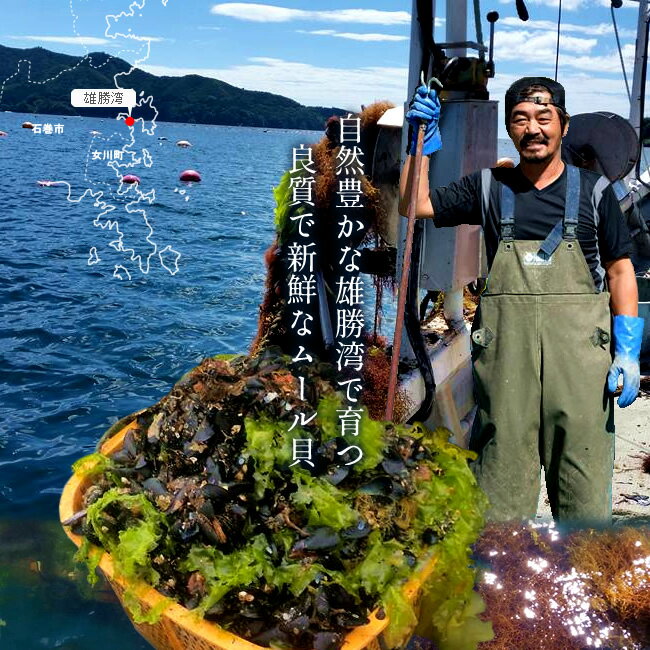 ムール貝 三陸 蒸しムール貝の白ワイン蒸し 約400g×3袋セット［大サイズ］雄勝湾の海と山の潮味香る 南三陸ワインとのマリアージュ 宮城県産 漁師直送（ムールガイ イガイ ムラサキ貝 カラス貝）［ 父の日 ギフト プレゼント］ 2