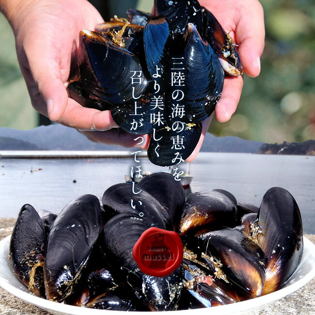 ムール貝 三陸 蒸しムール貝の白ワイン蒸し 約400g×3袋セット［大サイズ］雄勝湾の海と山の潮味香る 南三陸ワインとのマリアージュ 宮城県産 漁師直送（ムールガイ イガイ ムラサキ貝 カラス貝）［ 父の日 ギフト プレゼント］ 3