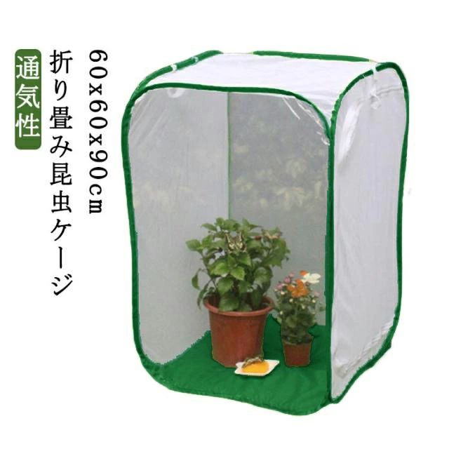【折り畳み昆虫ケージ】 【通気性】 【60x60x90cm】通気性と耐久性に優れた高品質のポリエステルメッシュ生地を使用しています。また、ケージに蝶やビーズを引っ張るだけでなく、蝶や蜂蜜の生息地としても利用できます。多くの蝶を収納することができ、良好な通気性があり、白いガーゼネットで蝶などの昆虫の観察にとても便利です。子供に扱いやすい。折り畳み式なので持ち運びもラクラク、邪魔になりません。家庭で虫を育てるだけでなく、幼稚園や小学校での野外実験にも適しています。 サイズ 60x60x90cm サイズについての説明 60x60x90cm ※サイズ計測には誤差が生じます。 素材 アクリロニトリルブタジエンスチレン（ABS） 色 グリーン 備考 ●サイズ詳細等の測り方はスタッフ間で統一、徹底はしておりますが、実寸は商品によって若干の誤差(1cm～3cm )がある場合がございますので、予めご了承ください。 ●製造ロットにより、細部形状の違いや、同色でも色味に多少の誤差が生じます。 ●パッケージは改良のため予告なく仕様を変更する場合があります。 ▼商品の色は、撮影時の光や、お客様のモニターの色具合などにより、実際の商品と異なる場合がございます。あらかじめ、ご了承ください。 ▼生地の特性上、やや匂いが強く感じられるものもございます。数日のご使用や陰干しなどで気になる匂いはほとんど感じられなくなります。 ▼同じ商品でも生産時期により形やサイズ、カラーに多少の誤差が生じる場合もございます。 ▼他店舗でも在庫を共有して販売をしている為、受注後欠品となる場合もございます。予め、ご了承お願い申し上げます。 ▼出荷前に全て検品を行っておりますが、万が一商品に不具合があった場合は、お問い合わせフォームまたはメールよりご連絡頂けます様お願い申し上げます。速やかに対応致しますのでご安心ください。