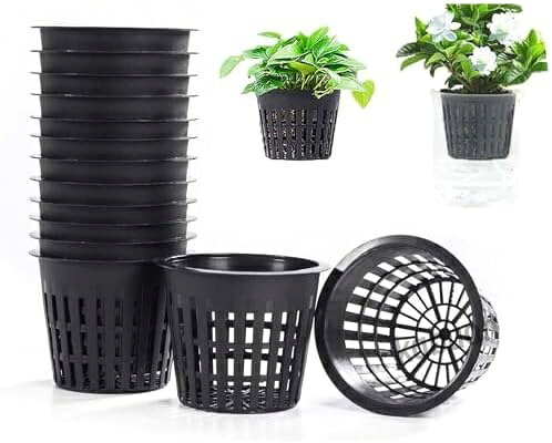 10個セットの水耕栽培用定植バスケットです。 外径83 mm、内径72 mm、底径56 mm、高さ65 mm。 フォームフロートやロックウールなど主要な水耕システムにそのまま差し込むだけで使え、カットの手間がかかりません。 耐久性に優れたエコPP樹脂を採用しています。 軽量ながら割れにくく、酸・アルカリにも強いため長期使用が可能です。 洗って繰り返し使えるので、コストを抑えつつ環境負荷も軽減します。 底部と側面を均一なメッシュで設計し、酸素と養液を全方向から循環します。 根腐れを防ぎながら、根が自然に下垂し効率よく栄養を吸収します。 成長スピードと収穫量アップが期待できます。 バスケット構造が水分・肥料の吸収効率を最大化し、根毛の発達を促進します。 水耕栽培が初めての方でも高発芽率・高定着率が得られ、失敗を減らせます。 キッチン菜園、ベランダ、温室、苗床、室内グリーン装飾まで幅広く対応します。 レタス・バジル・ミント・イチゴ・多肉植物など多彩な水耕・挿し木に最適で、 家庭菜園はもちろん学校実験や緑化プロジェクトにもおすすめです。10個セットの水耕栽培用定植バスケットです。 外径83 mm、内径72 mm、底径56 mm、高さ65 mm。 フォームフロートやロックウールなど主要な水耕システムにそのまま差し込むだけで使え、カットの手間がかかりません。 耐久性に優れたエコPP樹脂を採用しています。 軽量ながら割れにくく、酸・アルカリにも強いため長期使用が可能です。 洗って繰り返し使えるので、コストを抑えつつ環境負荷も軽減します。 底部と側面を均一なメッシュで設計し、酸素と養液を全方向から循環します。 根腐れを防ぎながら、根が自然に下垂し効率よく栄養を吸収します。 成長スピードと収穫量アップが期待できます。 バスケット構造が水分・肥料の吸収効率を最大化し、根毛の発達を促進します。 水耕栽培が初めての方でも高発芽率・高定着率が得られ、失敗を減らせます。 キッチン菜園、ベランダ、温室、苗床、室内グリーン装飾まで幅広く対応します。 レタス・バジル・ミント・イチゴ・多肉植物など多彩な水耕・挿し木に最適で、 家庭菜園はもちろん学校実験や緑化プロジェクトにもおすすめです。