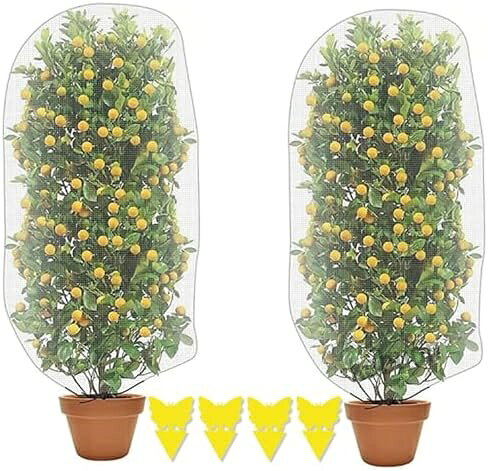 規格：包装には防虫ネットが2袋含まれており、サイズは100×80 cmです。使いやすく、十分な大きさで、簡単に植物を入れることができます。昆虫や害虫、鳥類などから植物を保護する理想的な選択です。さらに、4つの粘虫シートが付属しています。材質：この透明な防鳥網はPE材料で作られており、超耐久性があります。植物をしっかりと保護し、軽量で樹木を圧迫せず、植物の成長を妨げません。使いやすい：ロープを引く設計を採用しており、丈夫で耐久性のあるガーデンネットカバーは使いやすく、取り付けも簡単です。網を植物の上に置き、ロープを引っ張るだけで、植物をしっかりと保護できます。完全な通気性：保護網は超微細で、網目は空気と水分を通過させるため、水や液体を与える際に防鳥網を取り外す必要がなく、光の照射を妨げることもありません。用途は幅広い：室内と屋外の園芸に最適で、柑橘類、庭木、トマト、プランターシステム、灌木などを虫や動物、鳥から保護します。規格：包装には防虫ネットが2袋含まれており、サイズは100×80 cmです。使いやすく、十分な大きさで、簡単に植物を入れることができます。昆虫や害虫、鳥類などから植物を保護する理想的な選択です。さらに、4つの粘虫シートが付属しています。材質：この透明な防鳥網はPE材料で作られており、超耐久性があります。植物をしっかりと保護し、軽量で樹木を圧迫せず、植物の成長を妨げません。使いやすい：ロープを引く設計を採用しており、丈夫で耐久性のあるガーデンネットカバーは使いやすく、取り付けも簡単です。網を植物の上に置き、ロープを引っ張るだけで、植物をしっかりと保護できます。完全な通気性：保護網は超微細で、網目は空気と水分を通過させるため、水や液体を与える際に防鳥網を取り外す必要がなく、光の照射を妨げることもありません。用途は幅広い：室内と屋外の園芸に最適で、柑橘類、庭木、トマト、プランターシステム、灌木などを虫や動物、鳥から保護します。