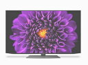 4T-C55DS1 シャープ SHARP アクオス AQUOS OLED 55V型 有機ELテレビ 4K チューナー内蔵 Android TV