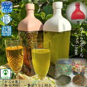 フィルターインボトル カークボトル 1200ml レッド KAB-120 かぶせ茶付き 一番ほうじ茶付き HARIO ハリオ 日本茶 緑茶 水出し茶 美味しいお茶 美味しい水出し茶 手軽 簡単 PCT樹脂 耐熱 角型 角形 水出し緑茶 癒し リラックス 冷茶 横置き可能