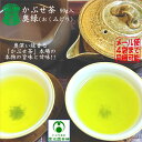 かぶせ茶 品種:奥緑・おくみどり 90g入り 緑茶 日本茶 上級茶葉 希少品種 高級茶葉 限定栽培 濃緑の香り 香り豊か 深い味わい 旨い 旨味 甘味 甘味の余...