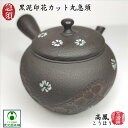 急須 黒泥印花カット丸急須 きゅうす 高鳳(こうほう) 常滑焼 陶器 陶製茶こし 白印花模様 カット模様 朱出し 燻し黒 お洒落 スタイリッシュ インロー蓋 は...