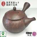 急須 茶窯変筋入り藻掛け急須 伝統工芸士 梅原廣隆作 二代目玉光 玉光窯 常滑焼 陶器 陶製茶こし セラメッシュ ギフト プレゼント 無釉 櫛目 藻掛け模様
