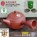 朱泥丸線段急須 玉光窯 「かぶせ茶」付き 伝統工芸士 玉光 梅原廣隆作 常滑焼 きゅうす 陶器 陶製茶こし セラメッシュ 手作り 手造り 国産 日本製 お茶ポット 朱泥急須 趣き お洒落 おしゃれ シンプル 持ちやすい 注ぎやすい 湯切れが良い 上品 大きめ ギフト プレゼント