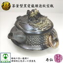 茶釜型窯変龍頭泡紋宝瓶 木箱入り ウコン布(黄布)付き 寿仙 渡辺敬一郎 高山陶園 直筆書き 常滑焼 泡瓶 ほうひん 陶器 胴開き茶こし 手彫り 縁起物 辰 龍...