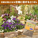 花壇に混ぜる土14L×1袋