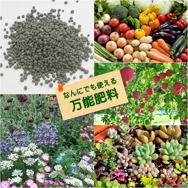 【万能肥料】お徳用1kg（何にでも同