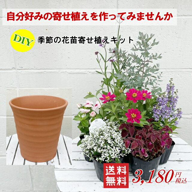 【送料無料】DIY季節の草花を寄せ植えキット（培養土セット無し）