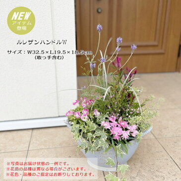 【送料無料】軽くて丈夫な合成樹脂テラコッタに季節の草花を寄植えしてお届けします（ルレザンハンドルC）