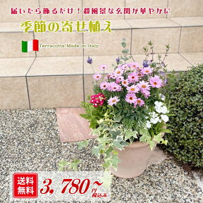 【送料無料】イタリア製テラコッタに季節の草花を寄せ植えしてお届け！