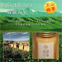 送料無料！森羅万象　天山蜂蜜 大瓶 600g