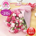 母の日ギフト!華やかスプレーカーネーションミックス20本花束!