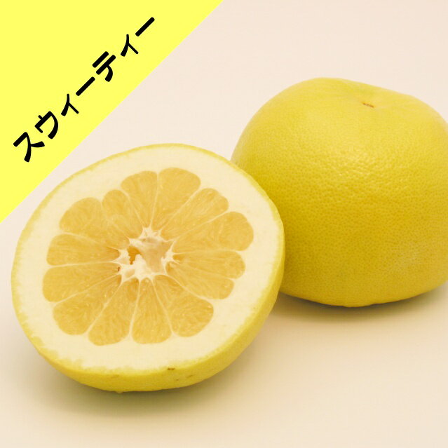 【その他柑橘系ミカン属】スウィーティー （接木苗）4号LLポット