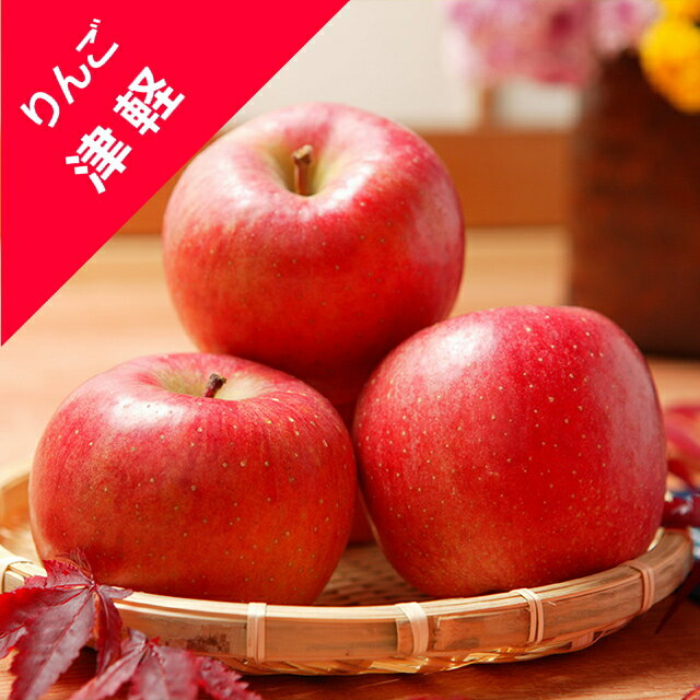 【リンゴ属】りんごつがる津軽 接木苗 4号LLポット