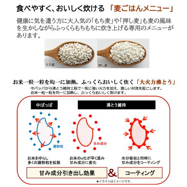 ZOJIRUSHI NP-BK18-BA ブラック　象印 圧力IH炊飯ジャー 極め炊き 炊飯器 NP-BK型 1升炊き 鉄器コートプラチナ厚釜 厚さ1.7mm [Made in Japan：日本製] 【2020年秋モデル】【ギフトラッピング対応】【お取り寄せ】