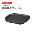 イワタニ カセットこんろ用プレート フッ素加工 鉄板焼きプレート【お取り寄せ】IWATANI CB-A-TPP