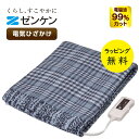 ひざ掛け かわいい おしゃれ 電磁波カット 安心な暖かさ 腰まわりやお腹 下半身の冷え に悩まされている女性にぴったり【お取り寄せ】ゼンケン 電気ひざかけ Zenken ZR-51LT グレー