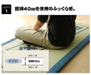 【2点セット】イケヒコ い草ごろ寝フリーマット い草枕 角枕【敷き物 い草寝具 7511409】【枕 い草寝具 3633019】【メーカー倉庫より直送】 2