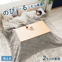 こたつ布団 長方形 正方形 イケヒコ こたつ掛け布団 のびる ロータイプ ハイタイプ ソファー併用 アドオン 上掛け【掛 単品】【メーカー倉庫より直送】選べる2...