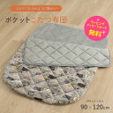 ポケットこたつ イケヒコ 防寒具 ごろ寝 おひとり様 一人用【ラッピング無料】【在庫あり】あったかグッズ 90×120cm ポケットこたつ布団 グレー