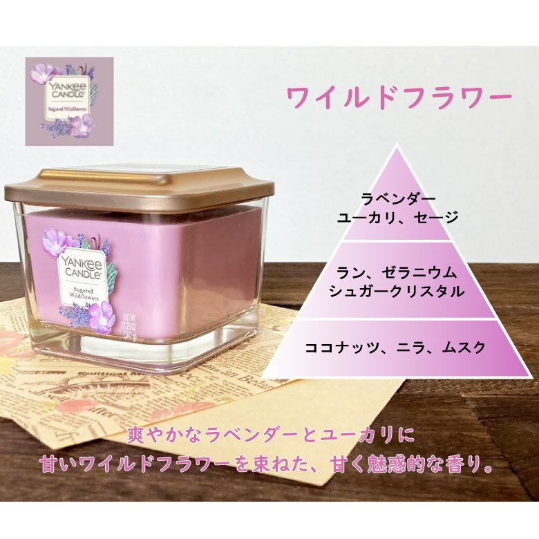 【エントリーで当店全品最大P10倍 9/4 20時~9/11 1:59】MoonLeaf 00527 30ml 遮光瓶【KK9N0D18P】