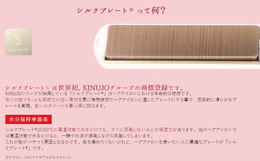 KINUJO DS058 絹女 LIP IRON -コードレスアイロン-（コードレスヘアアイロン） / USB充電式で持ち運び可能・シルクプレート ストレートアイロン 【ヘアアイロン 美容】【プレゼント ギフト 贈り物 ラッピング】【お取り寄せ】