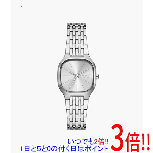 【1日と5.0のつく日、18日はポイント3倍！】スカーゲン 腕時計 MELLEM LILLE SKW3159
