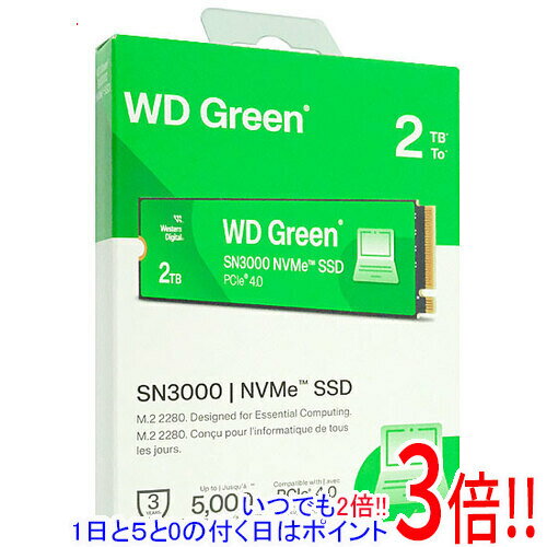 【1日と5.0のつく日、18日はポイント3倍！】SANDISK WD Green SN3000 NVMe SSD WDS200T4G0E 2TB