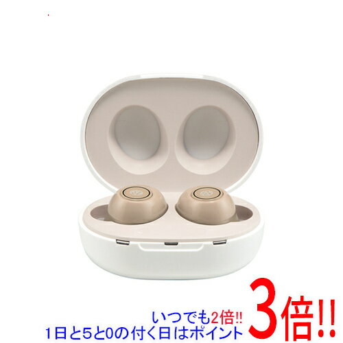 【1日と5.0のつく日、18日はポイント3倍！】ショップジャパン 楽ちんヒアリング 耳穴型集音器 RA-SABG1