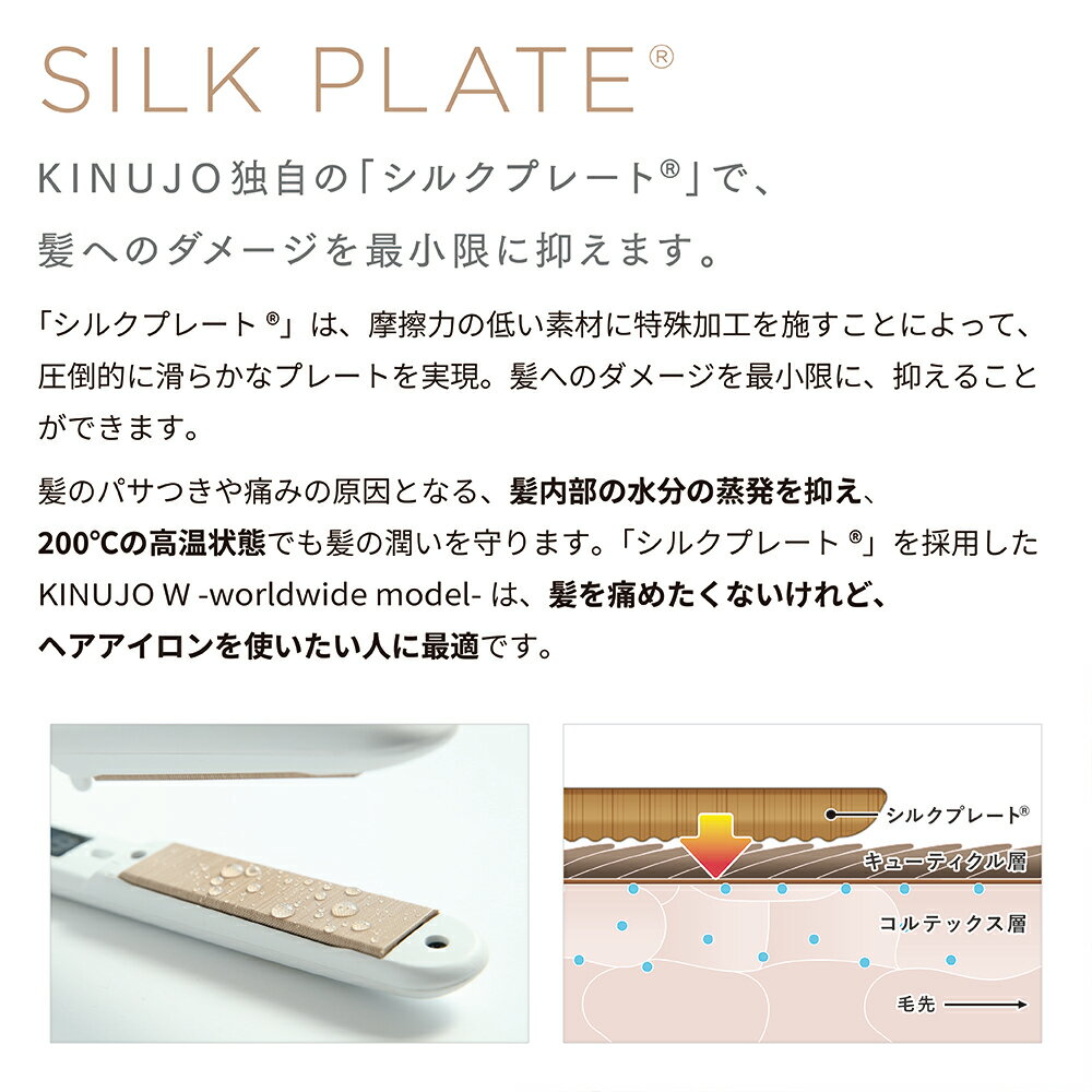 KINUJOWworldwidemodelDS100-BK