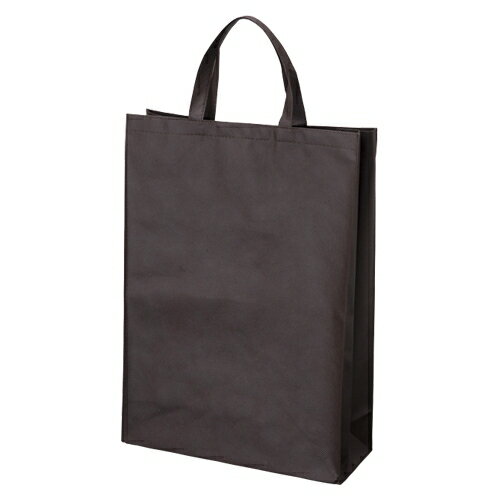 【11/5限定★抽選で2人に1人最大100%ポイントバック！要エントリー】サンナップ【AC】不織布バッグマチ付　中10枚　ブラウン A-4901627063798★【FBH-45BR】