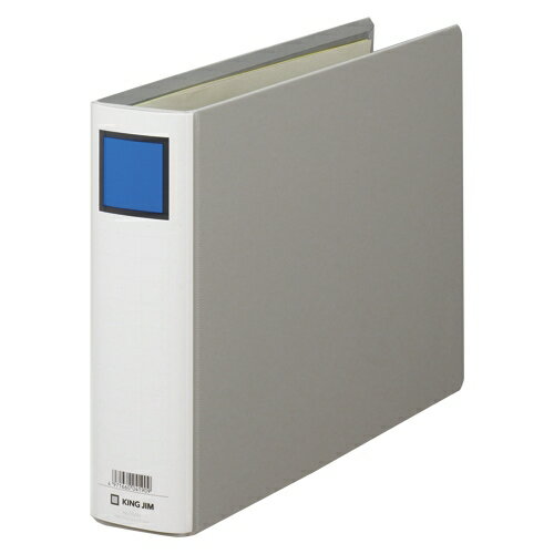 【11/25限定★抽選で2人に1人最大100%ポイントバック！要エントリー】キングジム【AC】キングファイルG..