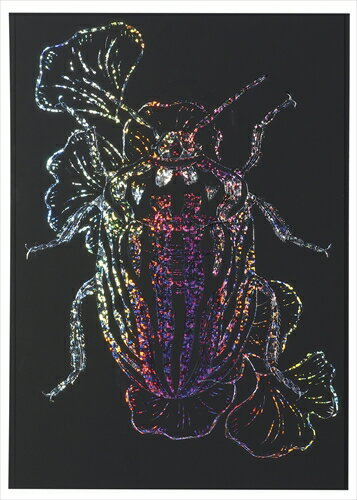 アーテック【教育・教材】ホログラムスクラッチボード 150×200mm AR4521718126456