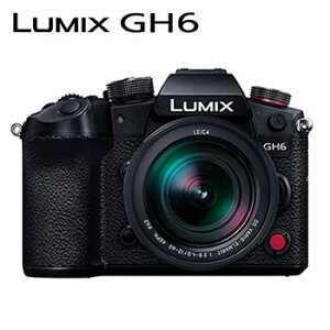 ѥʥ˥åںʤ5ǯĹݾڲ̵LUMIX GH6 ߥ顼쥹㥫 ɸॺ󥺥å DC-GH6LDCGH6L