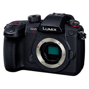 ѥʥ˥åںʤ5ǯĹݾڲ̵LUMIX GH5 II ߥ顼쥹㥫 ܥǥñ DC-GH5M2DCGH5M2