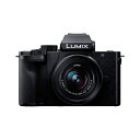 パナソニック【今なら5年延長保証加入が無料】ミラーレス一眼カメラ LUMIX G100D 標準ズームレンズキット DC-G100DK-K【デジタル一眼カメラ】