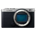 パナソニック【今なら5年延長保証加入が無料】フルサイズミラーレス一眼カメラ LUMIX S9 ボディ単体 ダークシルバー DC-S9-S