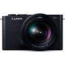 パナソニック【今なら5年延長保証加入が無料】フルサイズミラーレス一眼カメラ LUMIX S9 標準ズームレンズキット ジェットブラック DC-S9K-K【付属レ...