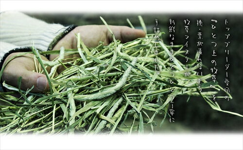 ��2/5�����������2�ͤ�1�ͺ���100%�ݥ���ȥХå����ץ���ȥ꡼�ۥޥڥåȡڥڥå����ʡ� ����Ծ�S�ץ�ߥ�����⥷��1�ִ���800g P-4580347136953