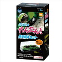 マルカン【ペット用品】はじめてのかんたん昆虫標本セット H－09 P-4906456527527【H-09】