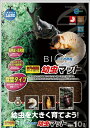 【7/20限定★抽選で2人に1人最大100%ポイントバック!要エントリー】マルカン【ペット用品】バイオ育成幼虫マット 10L P-4906456558910【M-705】