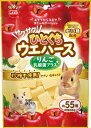 【8/18限定★抽選で2人に1人最大100%ポイントバック!要エントリー】マルカン【ペット用品】サクサク!ひとくちウエハース りんご 乳酸菌プラス 85g P-4906456578024【ML-473】