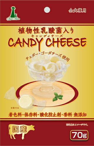 ペティオ ADD.MATE営業部【ペット用品】キャンディチーズ 乳酸菌入り 70g P-4903588140129【A14012】